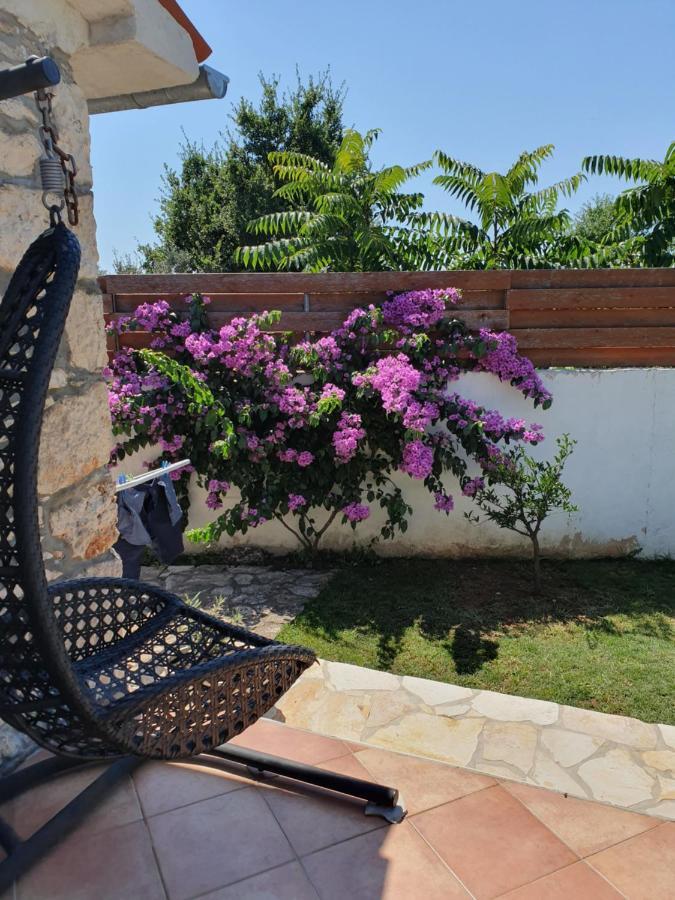 Villa Istrska Kamnita Hisa Soncni Medolino Esterno foto
